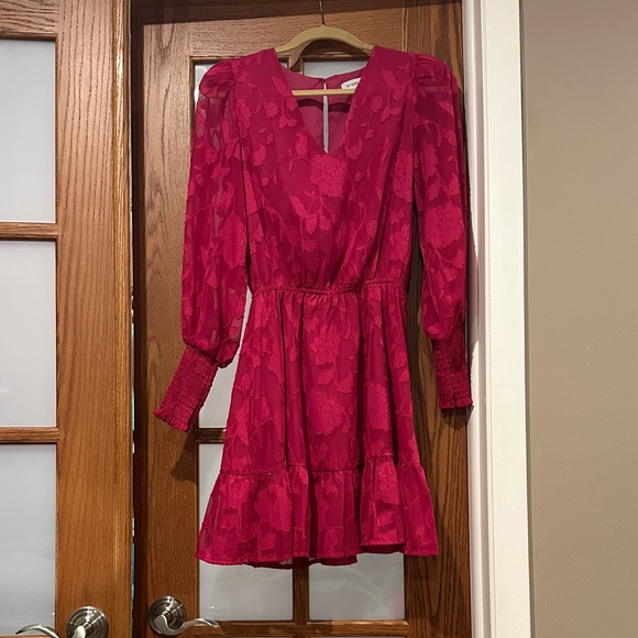 Evereve Dresses & Skirts - Evereve Fuchsia V-Neck Long-Sleeve Ruffle Dress